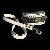 White-edge leather collar symbolizing elegance and power
