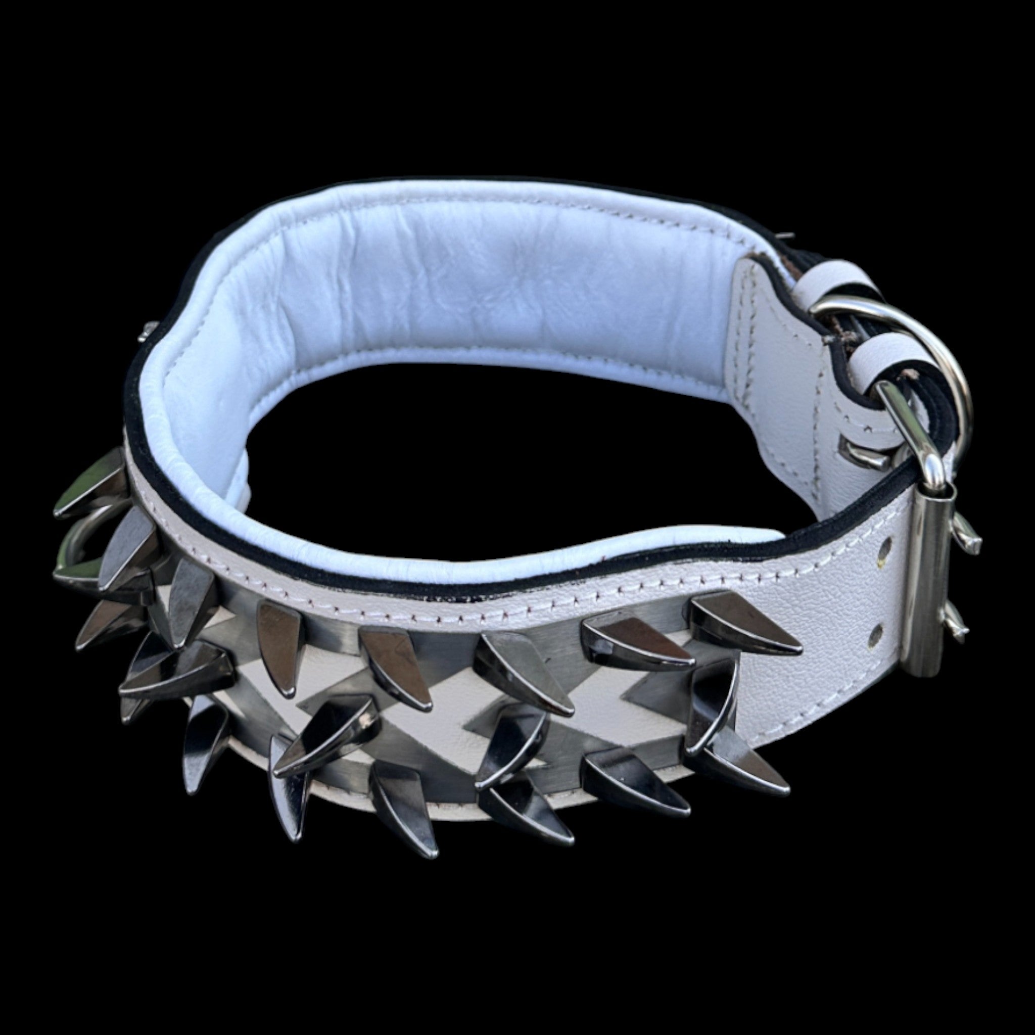 Heavy-duty buffalo leather dog collar with ivory black spikes