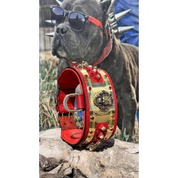 Extreme Collars | Handmade Dog Collars | Personalized Collars | Dog Gift | Engraved Dog Collar | Custom Dog Collar with Name Plate