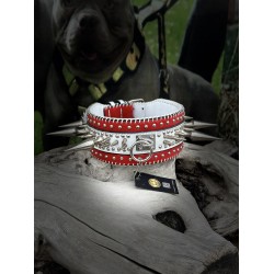 Extreme Collars | Handmade Dog Collars | Personalized Collars | Dog Gift | Engraved Dog Collar | Custom Dog Collar with Name Plate