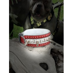 Extreme Collars | Handmade Dog Collars | Personalized Collars | Dog Gift | Engraved Dog Collar | Custom Dog Collar with Name Plate