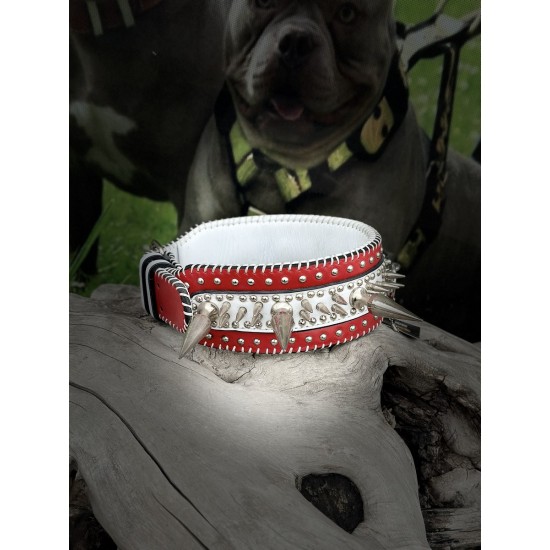 Extreme Collars | Handmade Dog Collars | Personalized Collars | Dog Gift | Engraved Dog Collar | Custom Dog Collar with Name Plate