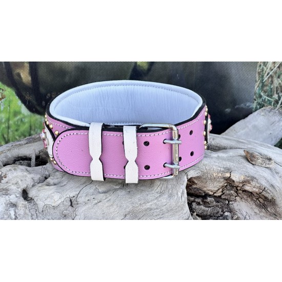 Extreme Collars | Handmade Dog Collars | Personalized Collars | Dog Gift | Engraved Dog Collar | Custom Dog Collar with Name Plate