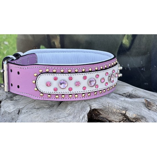 Extreme Collars | Handmade Dog Collars | Personalized Collars | Dog Gift | Engraved Dog Collar | Custom Dog Collar with Name Plate