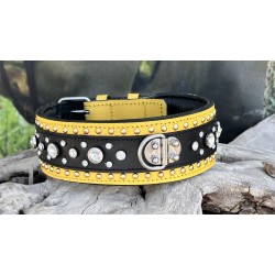 Extreme Collars | Handmade Dog Collars | Personalized Collars | Dog Gift | Engraved Dog Collar | Custom Dog Collar with Name Plate