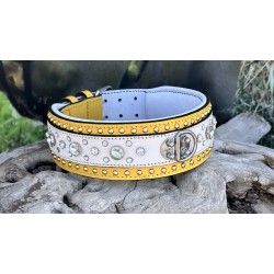 Extreme Collars | Handmade Dog Collars | Personalized Collars | Dog Gift | Engraved Dog Collar | Custom Dog Collar with Name Plate