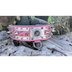 Extreme Collars | Handmade Dog Collars | Personalized Collars | Dog Gift | Engraved Dog Collar | Custom Dog Collar with Name Plate