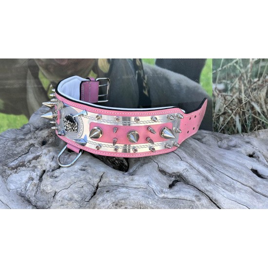 Extreme Collars | Handmade Dog Collars | Personalized Collars | Dog Gift | Engraved Dog Collar | Custom Dog Collar with Name Plate