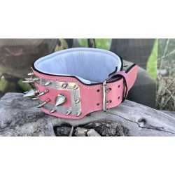 Extreme Collars | Handmade Dog Collars | Personalized Collars | Dog Gift | Engraved Dog Collar | Custom Dog Collar with Name Plate