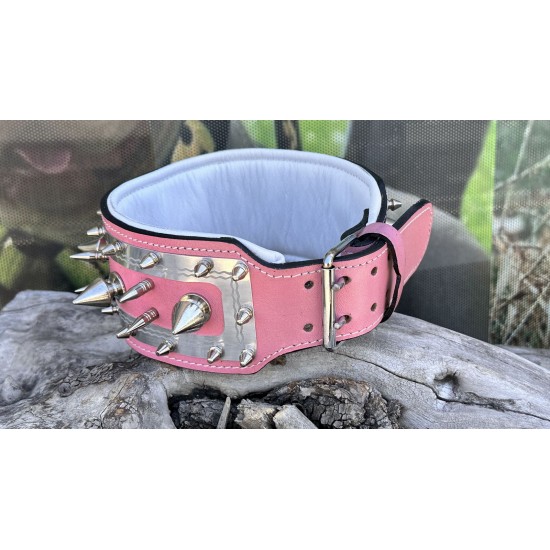 Extreme Collars | Handmade Dog Collars | Personalized Collars | Dog Gift | Engraved Dog Collar | Custom Dog Collar with Name Plate