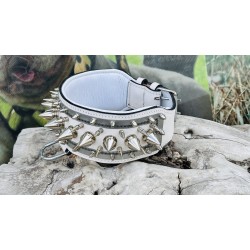 Extreme Collars | Handmade Dog Collars | Personalized Collars | Dog Gift | Engraved Dog Collar | Custom Dog Collar with Name Plate