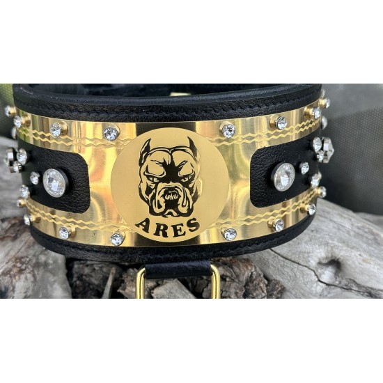 Extreme Collars | Handmade Dog Collars | Personalized Collars | Dog Gift | Engraved Dog Collar | Custom Dog Collar with Name Plate