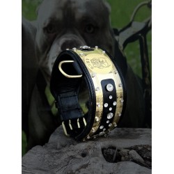 Extreme Collars | Handmade Dog Collars | Personalized Collars | Dog Gift | Engraved Dog Collar | Custom Dog Collar with Name Plate