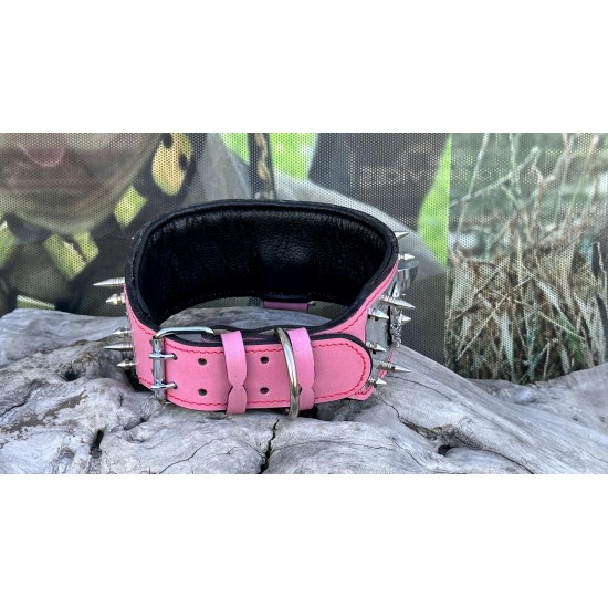 Extreme Collars | Handmade Dog Collars | Personalized Collars | Dog Gift | Engraved Dog Collar | Custom Dog Collar with Name Plate