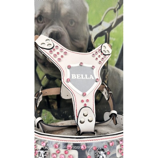 Extreme Collars | Handmade Dog Collars | Personalized Collars | Dog Gift | Engraved Dog Collar | Custom Dog Collar with Name Plate