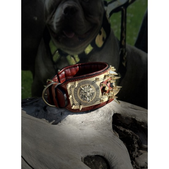 Extreme Collars | Handmade Dog Collars | Personalized Collars | Dog Gift | Engraved Dog Collar | Custom Dog Collar with Name Plate