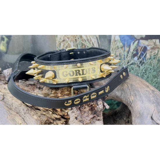 Extreme Collars | Handmade Dog Collars | Personalized Collars | Dog Gift | Engraved Dog Collar | Custom Dog Collar with Name Plate