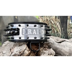 Extreme Collars | Handmade Dog Collars | Personalized Collars | Dog Gift | Engraved Dog Collar | Custom Dog Collar with Name Plate