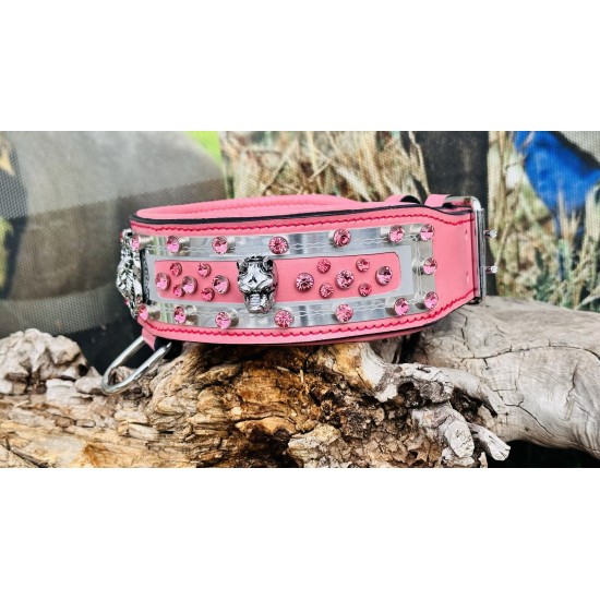 Extreme Collars | Handmade Dog Collars | Personalized Collars | Dog Gift | Engraved Dog Collar | Custom Dog Collar with Name Plate