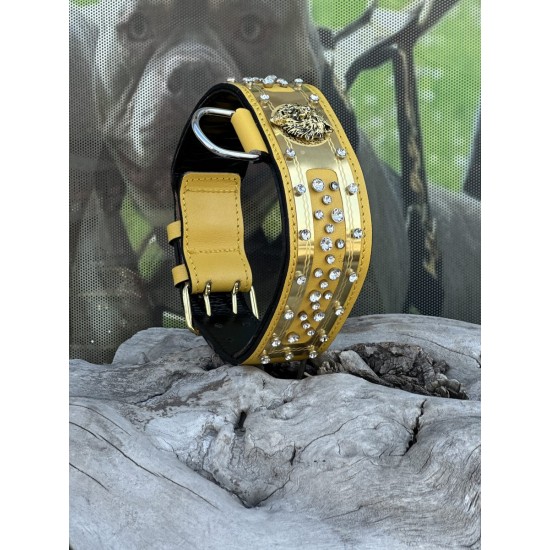 Extreme Collars | Handmade Dog Collars | Personalized Collars | Dog Gift | Engraved Dog Collar | Custom Dog Collar with Name Plate