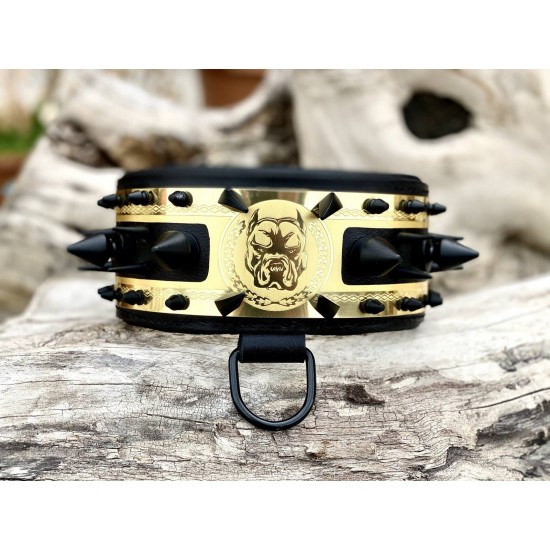 Extreme Collars | Handmade Dog Collars | Personalized Collars | Dog Gift | Engraved Dog Collar | Custom Dog Collar with Name Plate