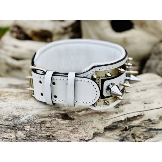 Extreme Collars | Handmade Dog Collars | Personalized Collars | Dog Gift | Engraved Dog Collar | Custom Dog Collar with Name Plate